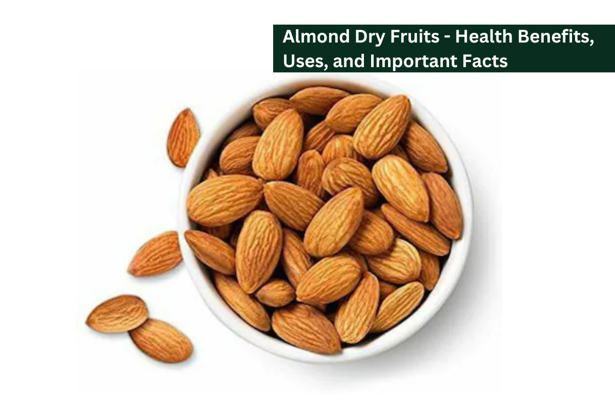 Almond Dry Fruits - Health Benefits, Uses, and Important Facts