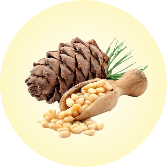 pine nuts icon