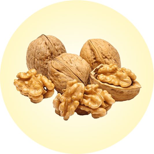 walnut icon